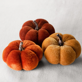 Mini Velvet Pumpkins - Multi