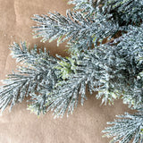 Iced Pine Spray