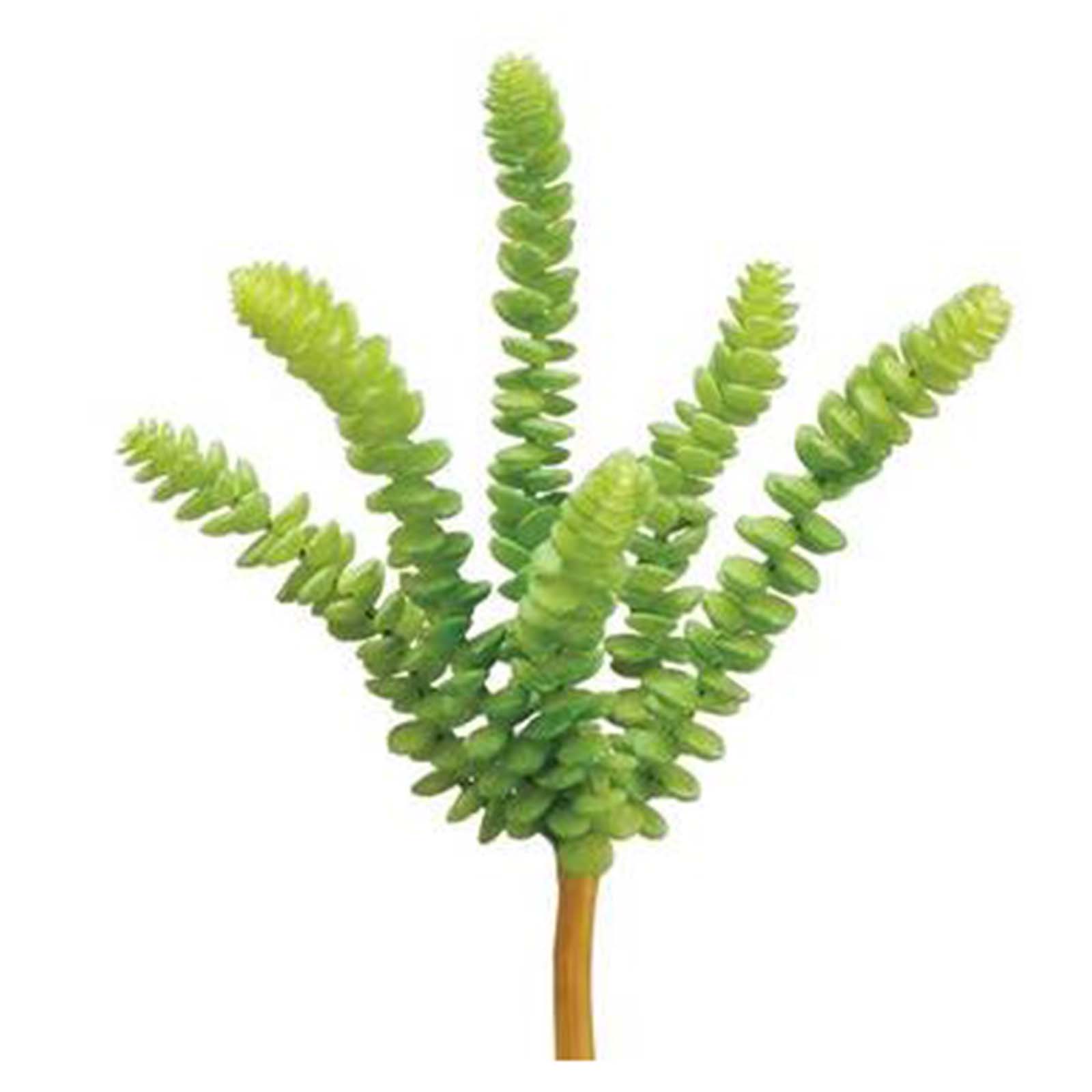 9" Donkey Tail Pick - Green