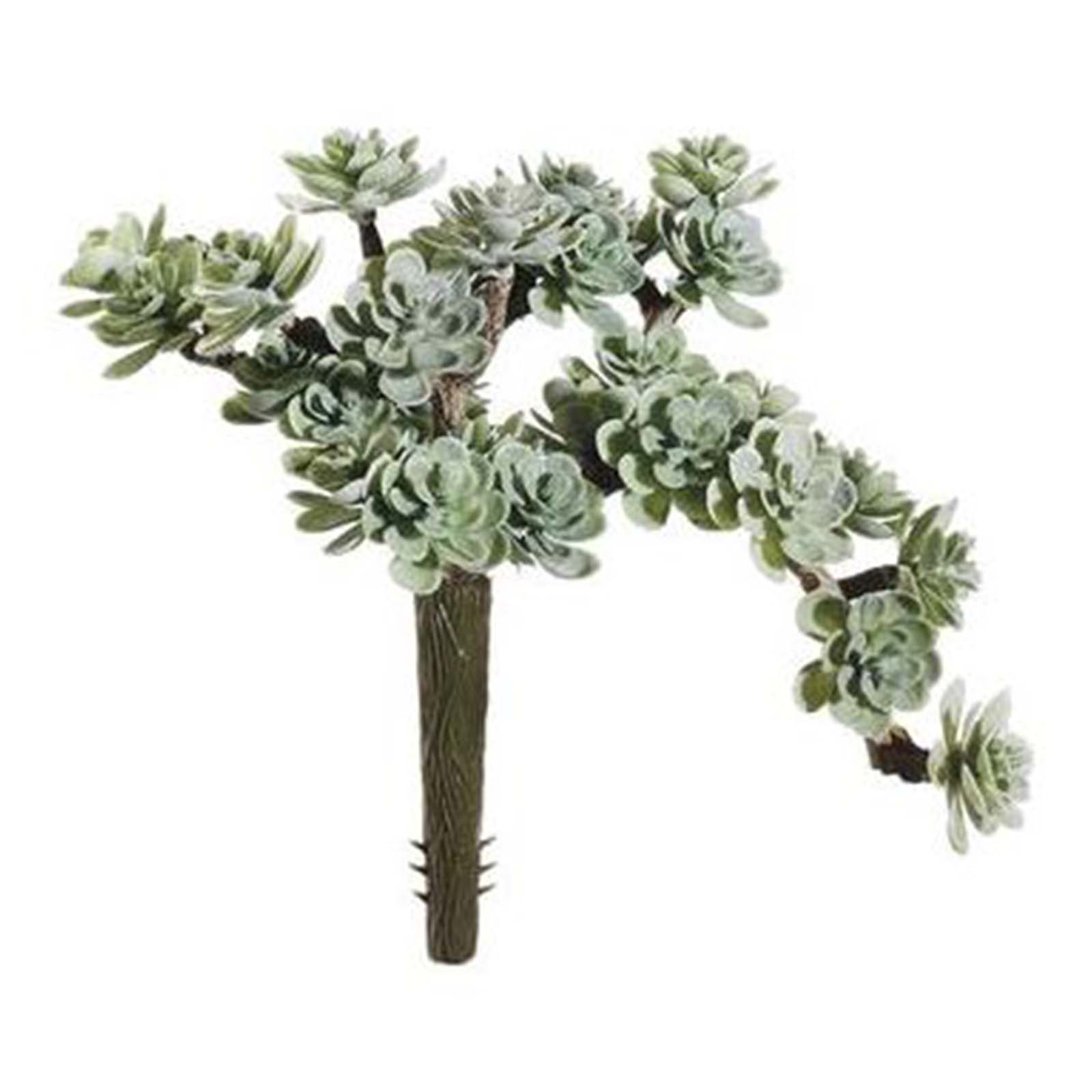 Sedum Pick - Dusty Green