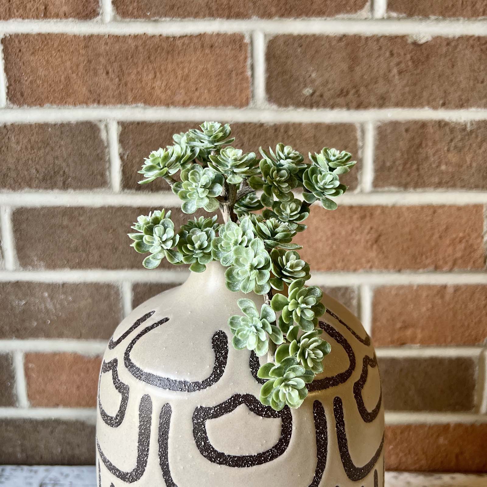 Sedum Pick - Dusty Green