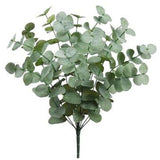 Eucalyptus Leaf Bush