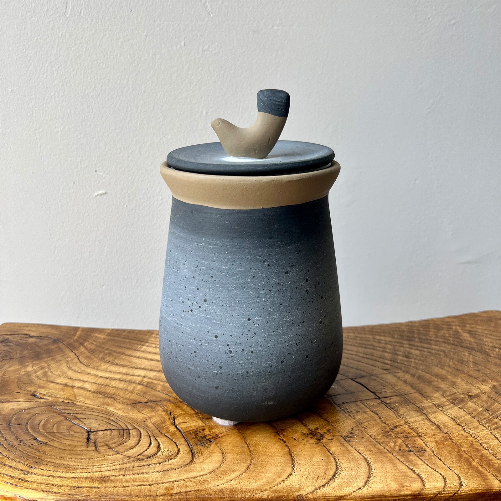 Blue Songbird Canister