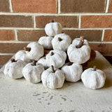 Bag of Dried Pumpkins