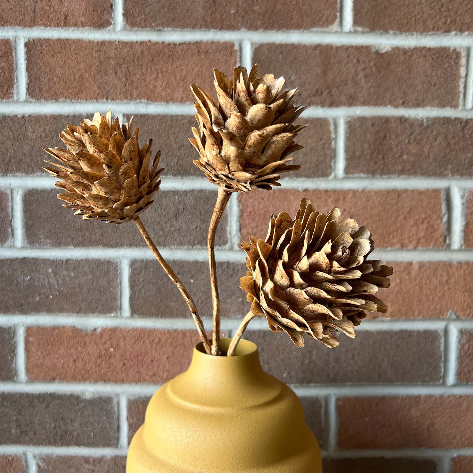 Artichoke Spray - Brown