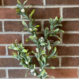 Mistletoe Stem