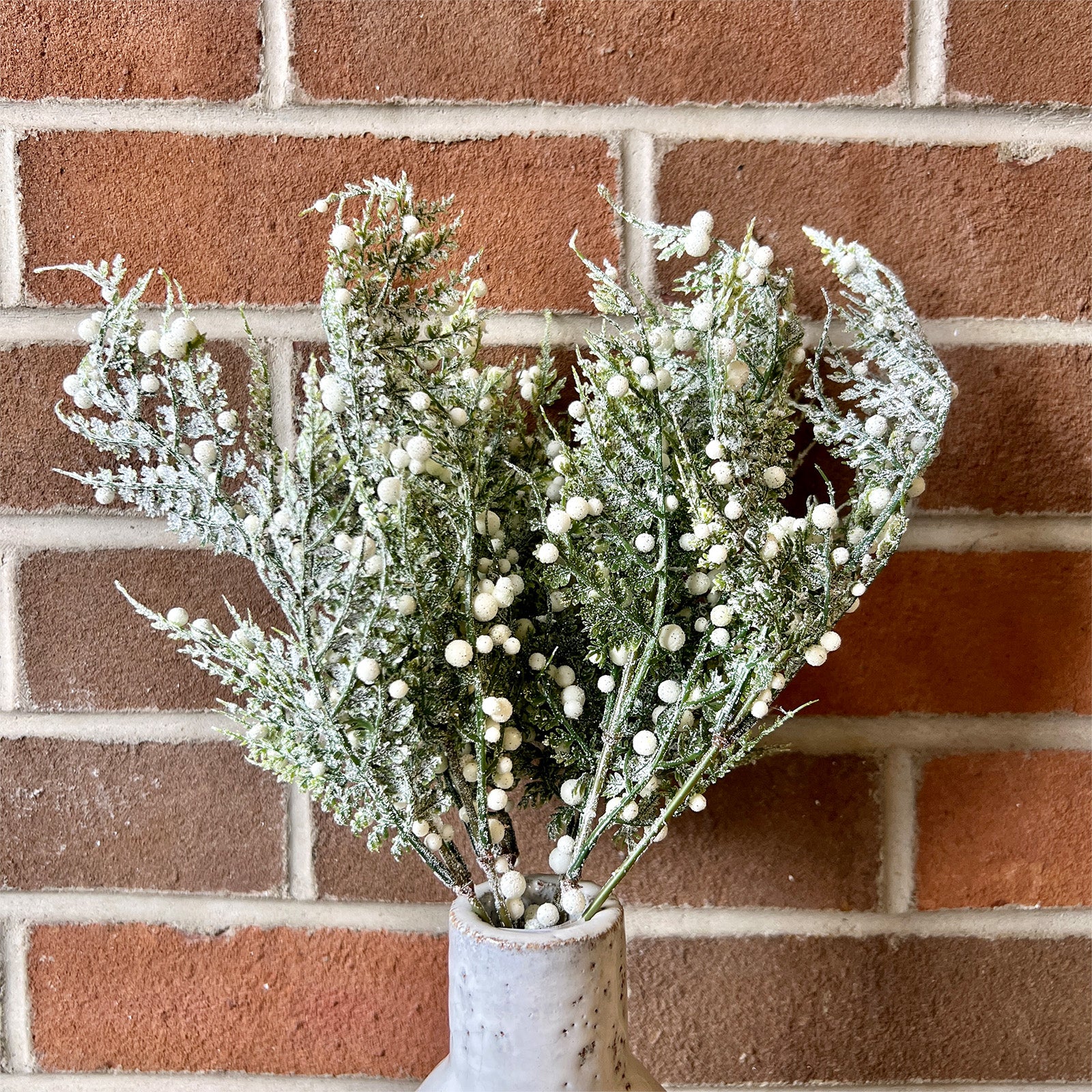 Snowy Fern Bush