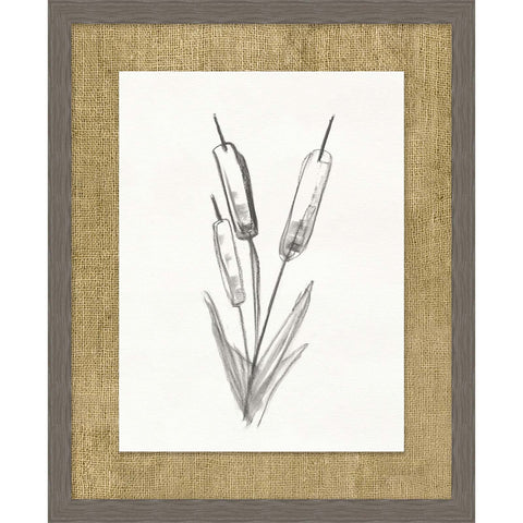 Cattails Sketch 1