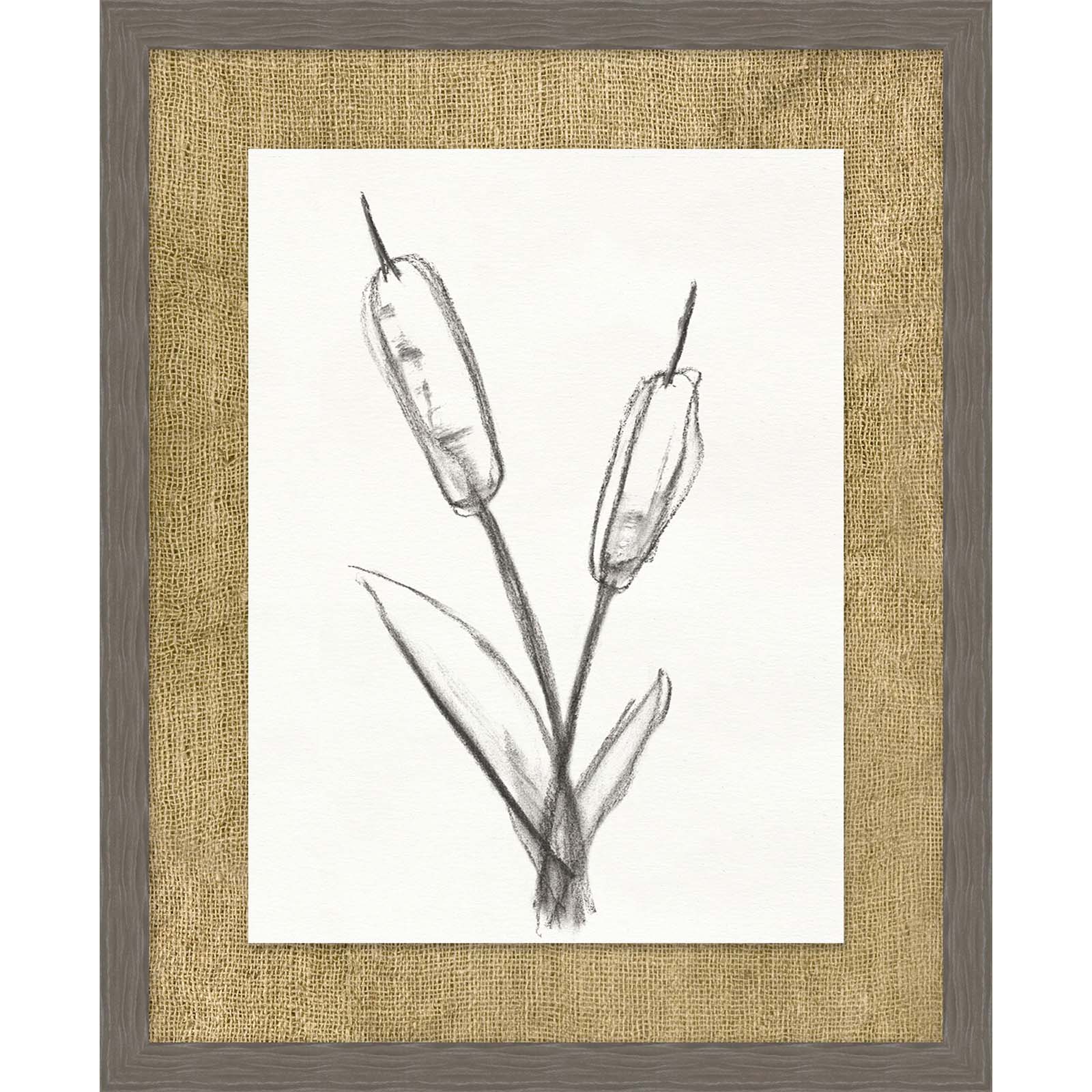 Cattails Sketch 2