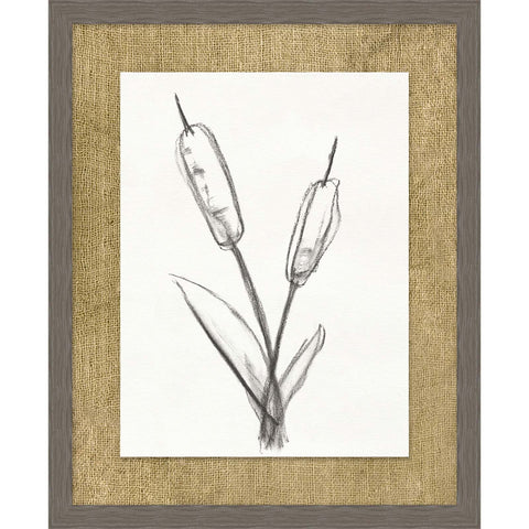 Cattails Sketch 2