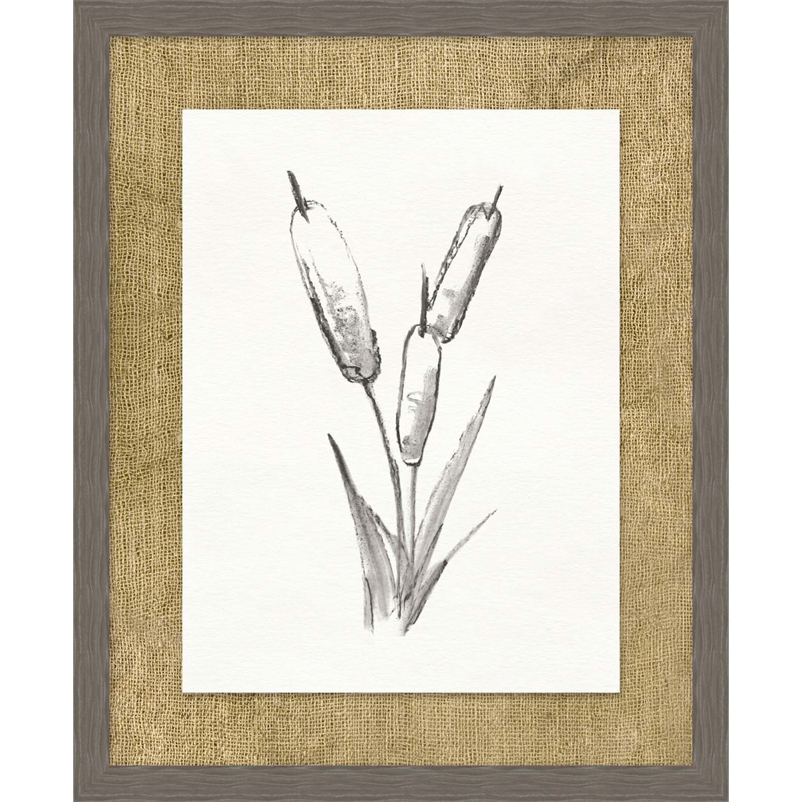 Cattails Sketch 5