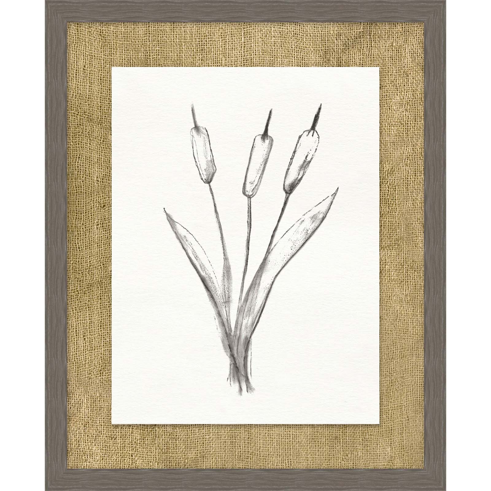 Cattails Sketch 4