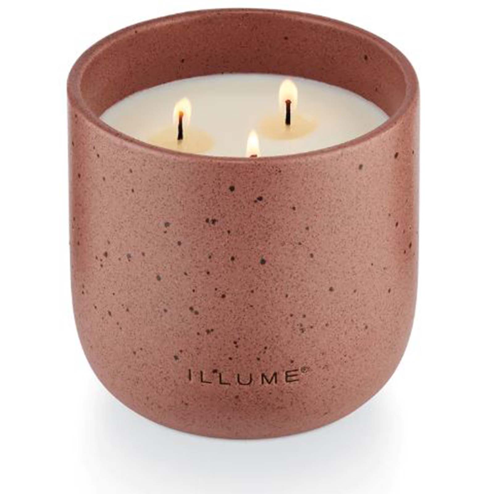 Citrus Cedarleaf Outdoor Candle - Medium