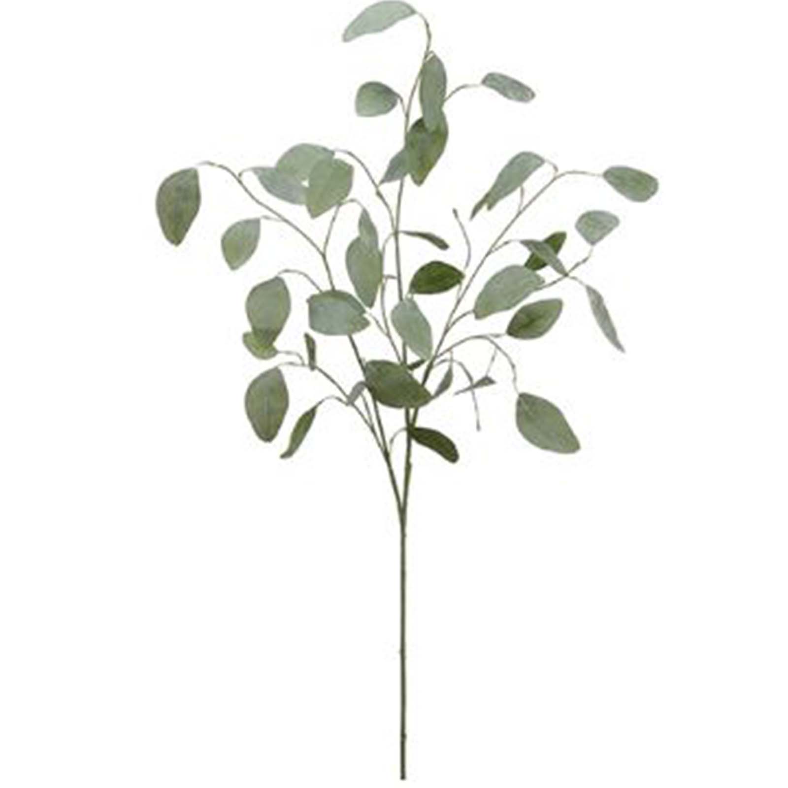 35" Eucalyptus Spray