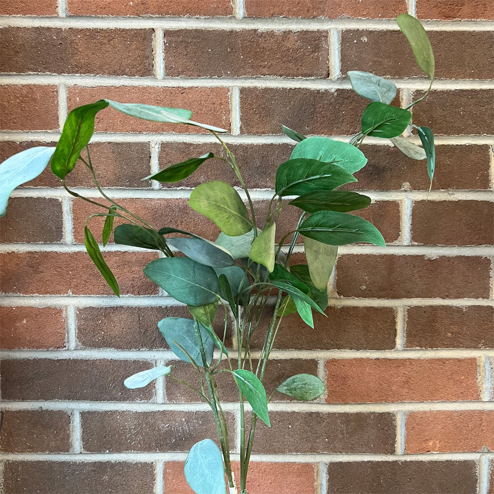 35" Eucalyptus Spray