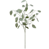 35" Eucalyptus Spray