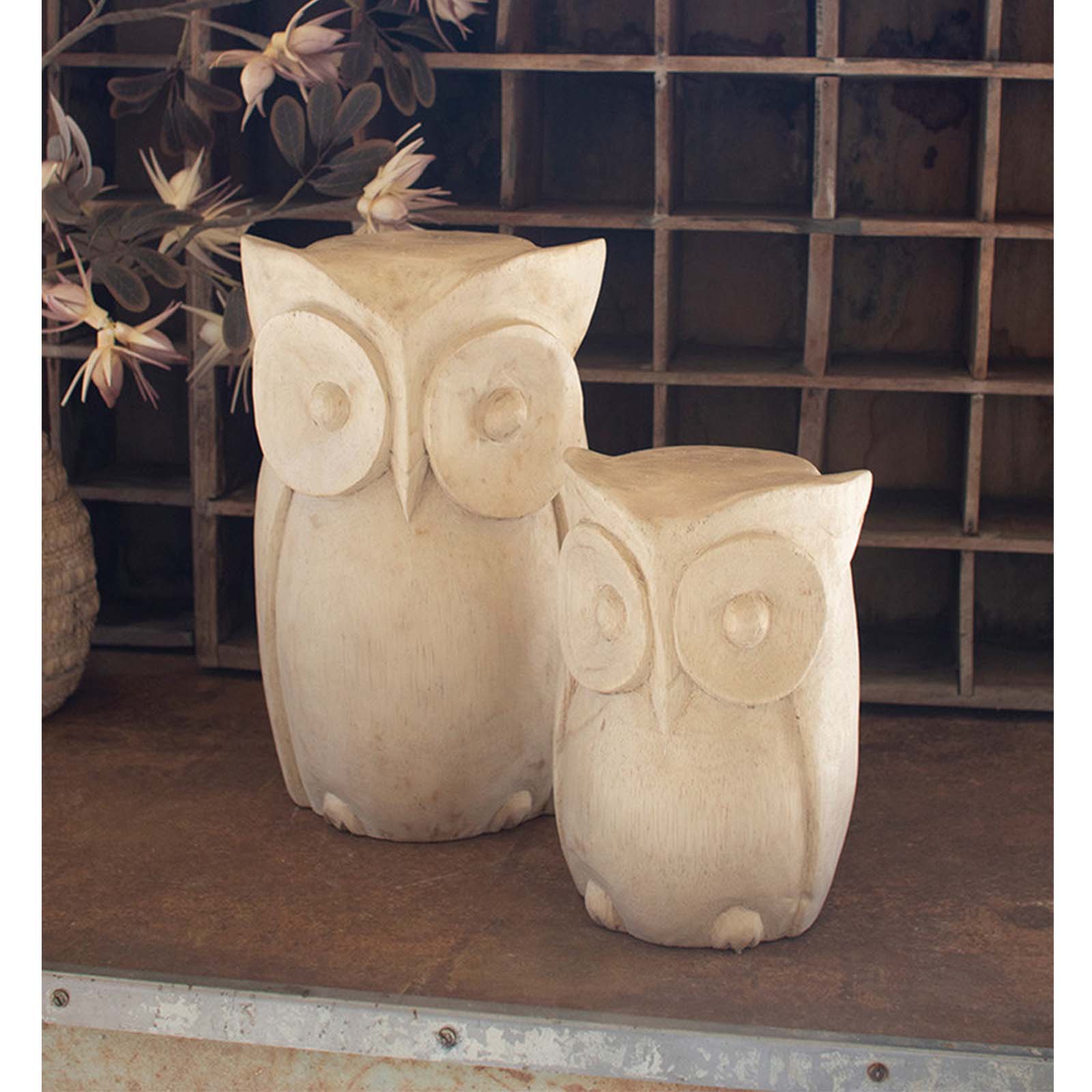 Wood Owl