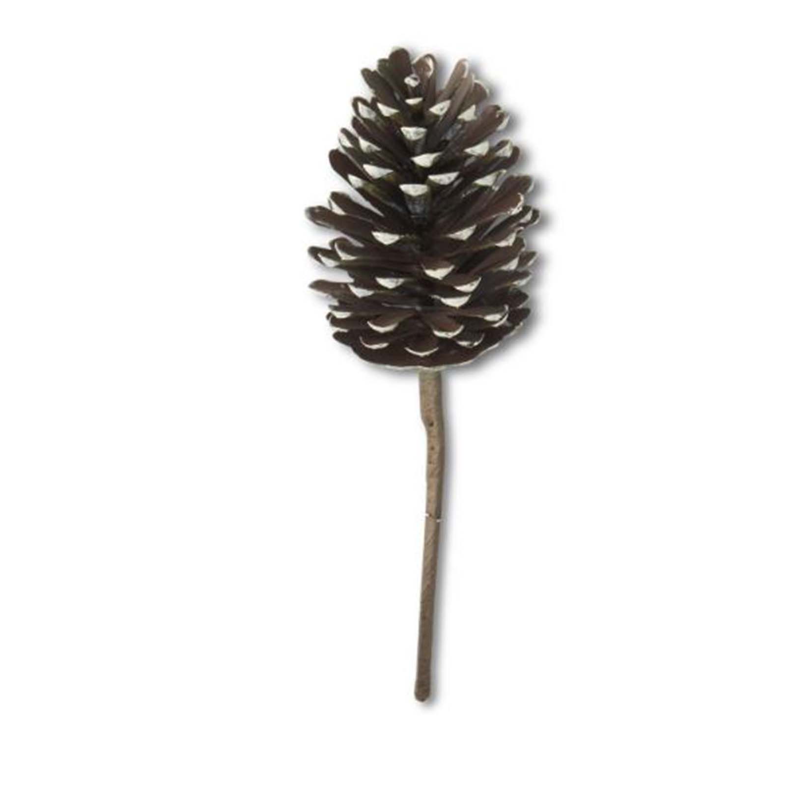 Pinecone Pick