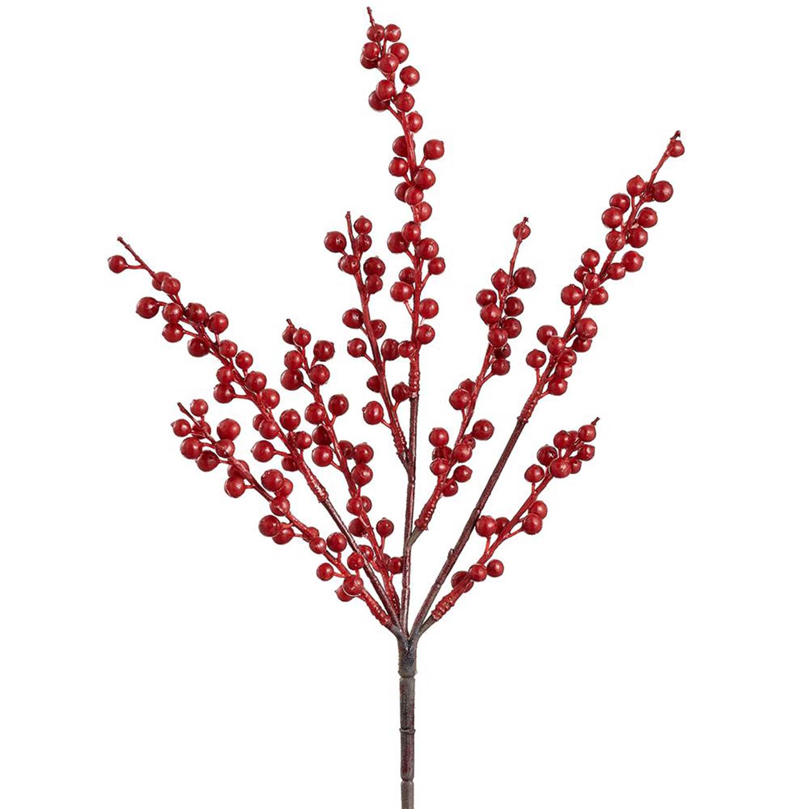 Red Berry Bush