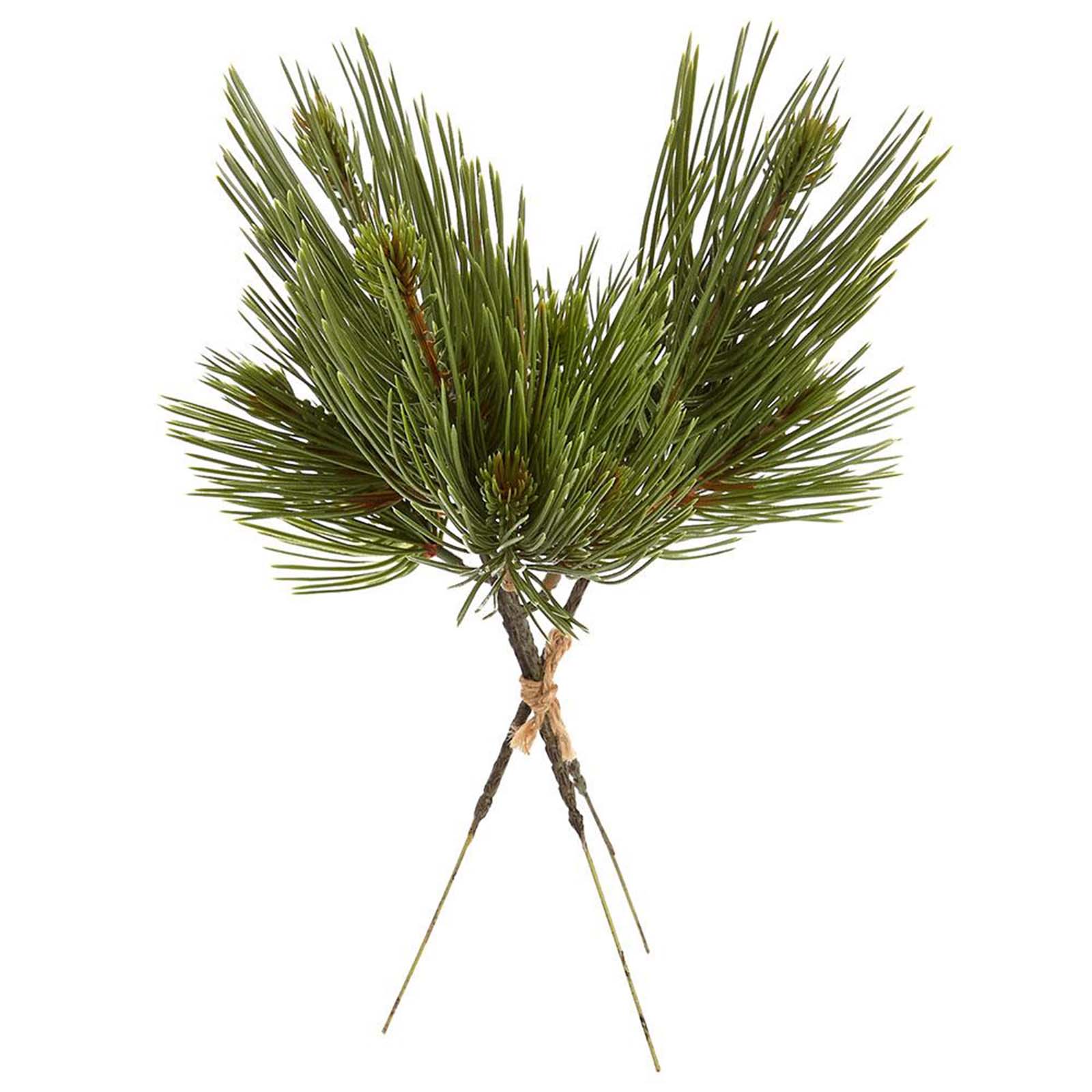 Pine Spray