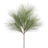 Long Needle Pine Spray