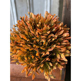 5.5" Blazing Seed Head