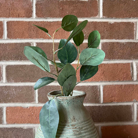 Eucalyptus Leaf Spray