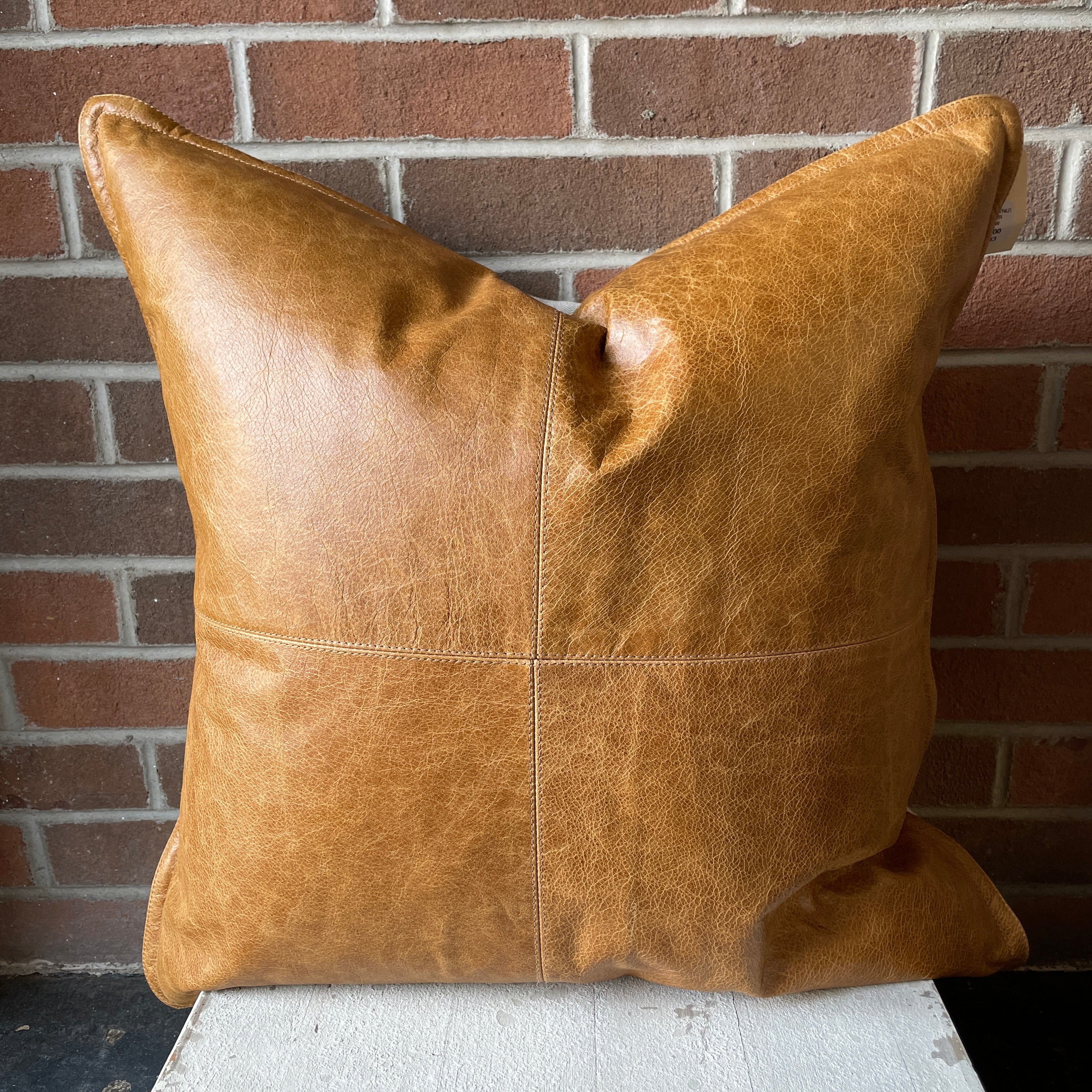 22" x 22" Pillow