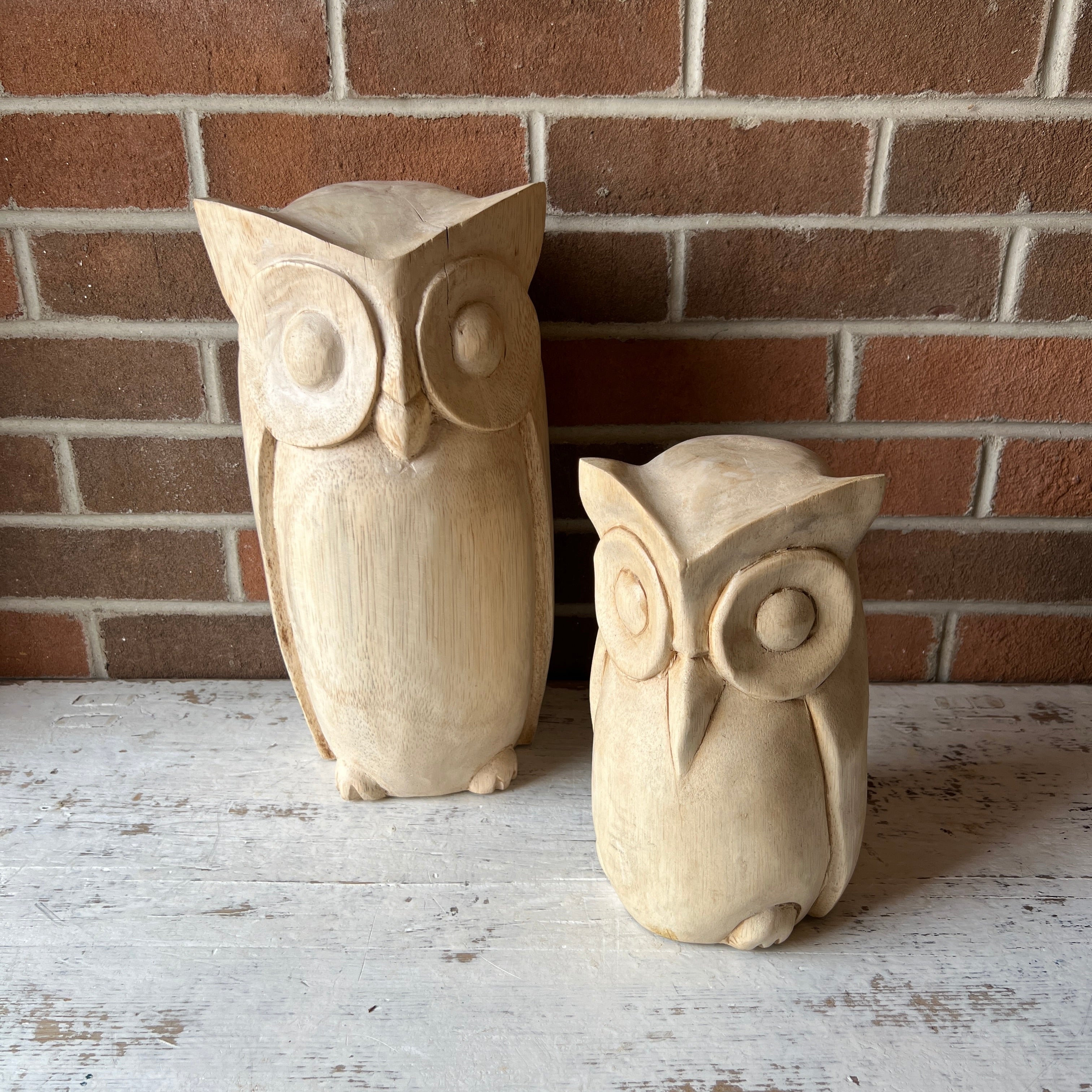 Wood Owl