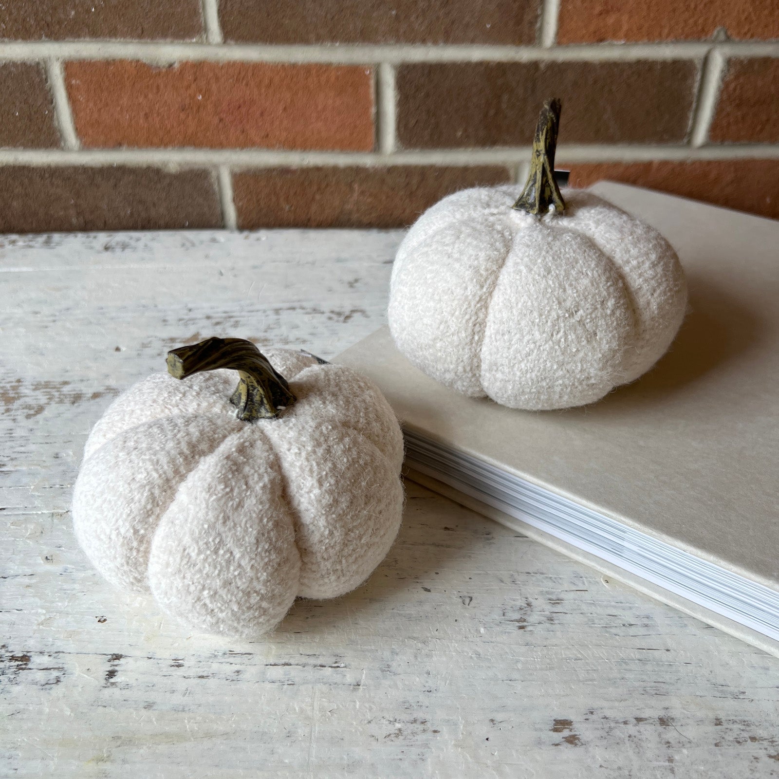 White Pumpkin