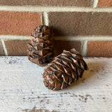 Brown Resin Pinecone