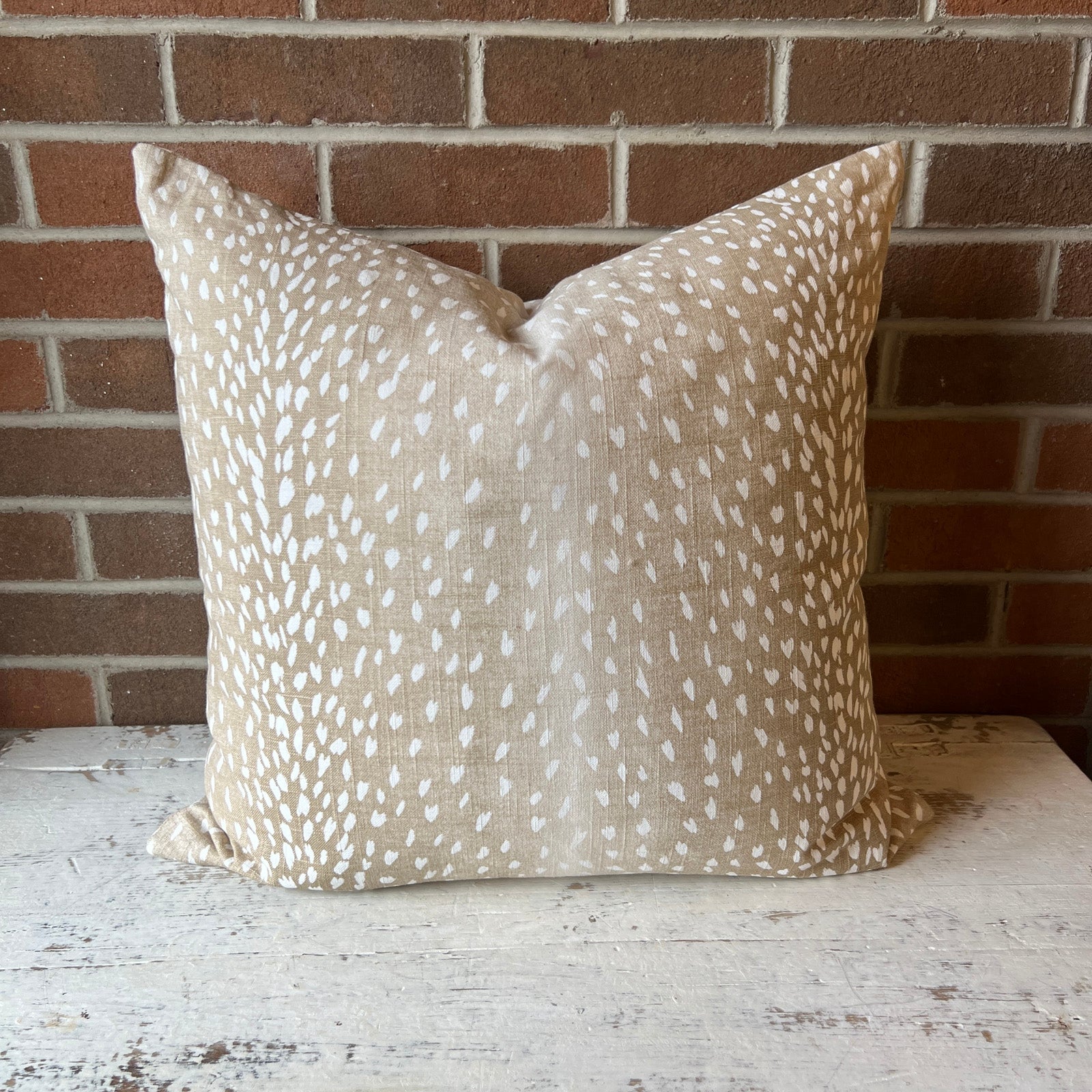 22" x 22" Pillow (30046)