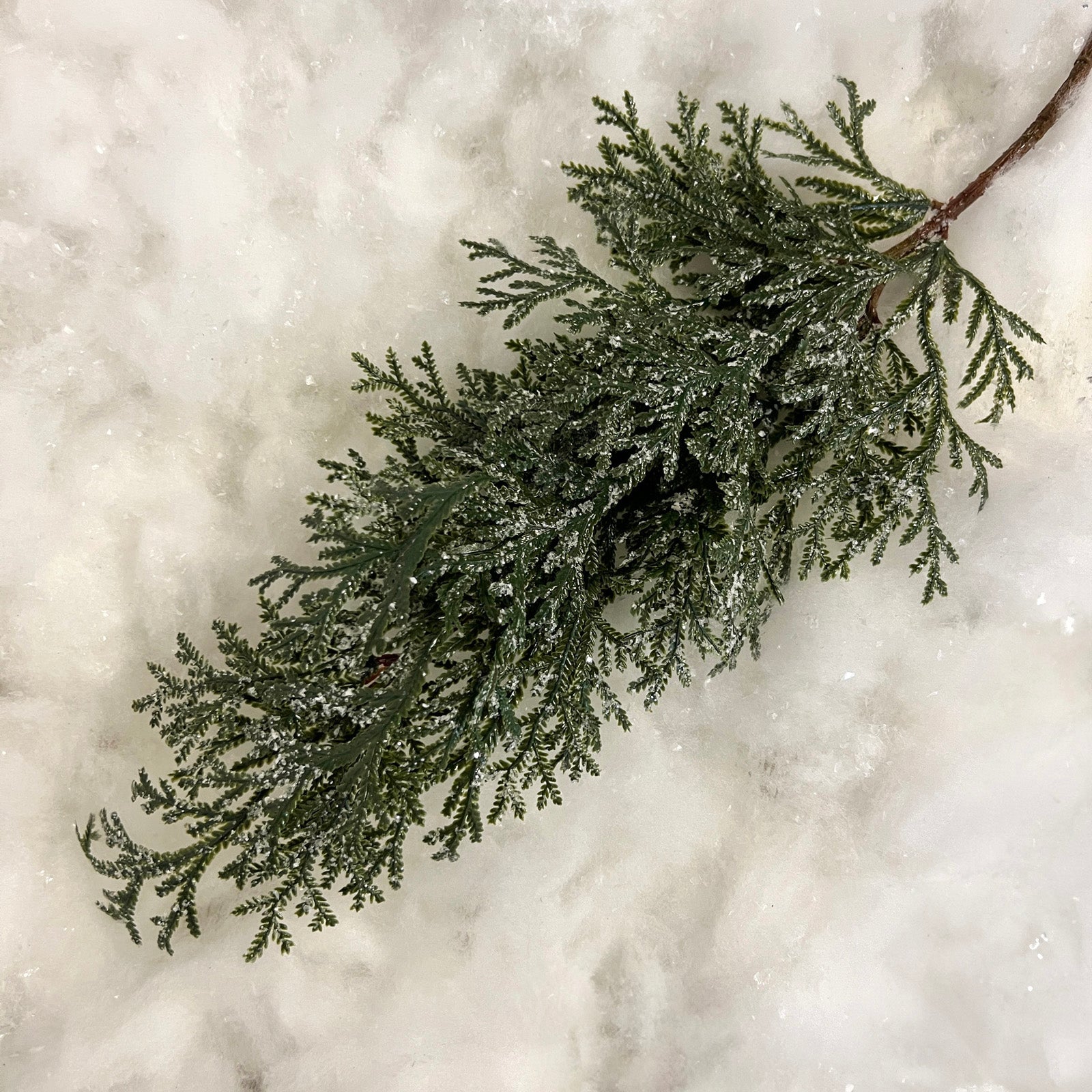 Frosted Cedar Spray