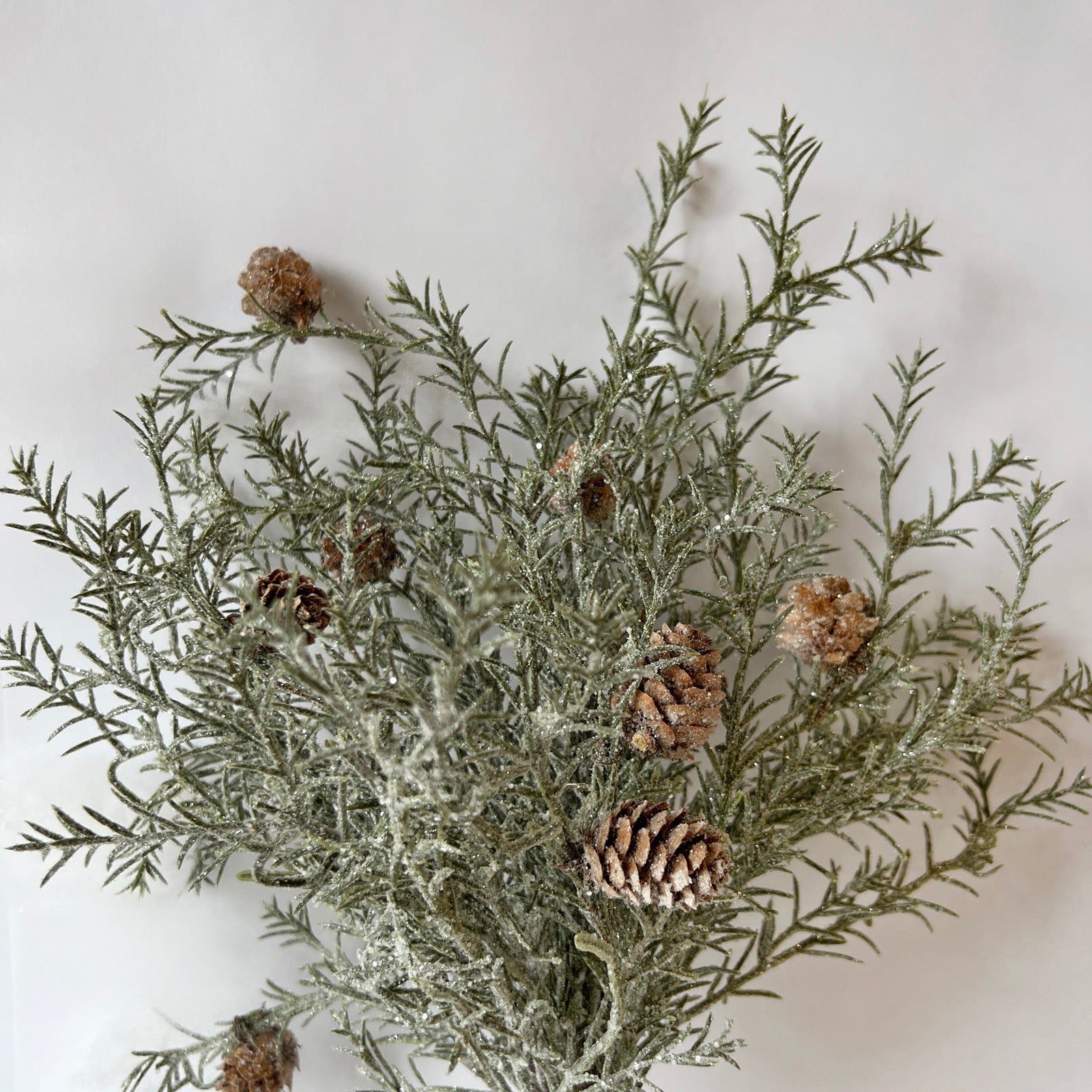 Frosted Pine Bush