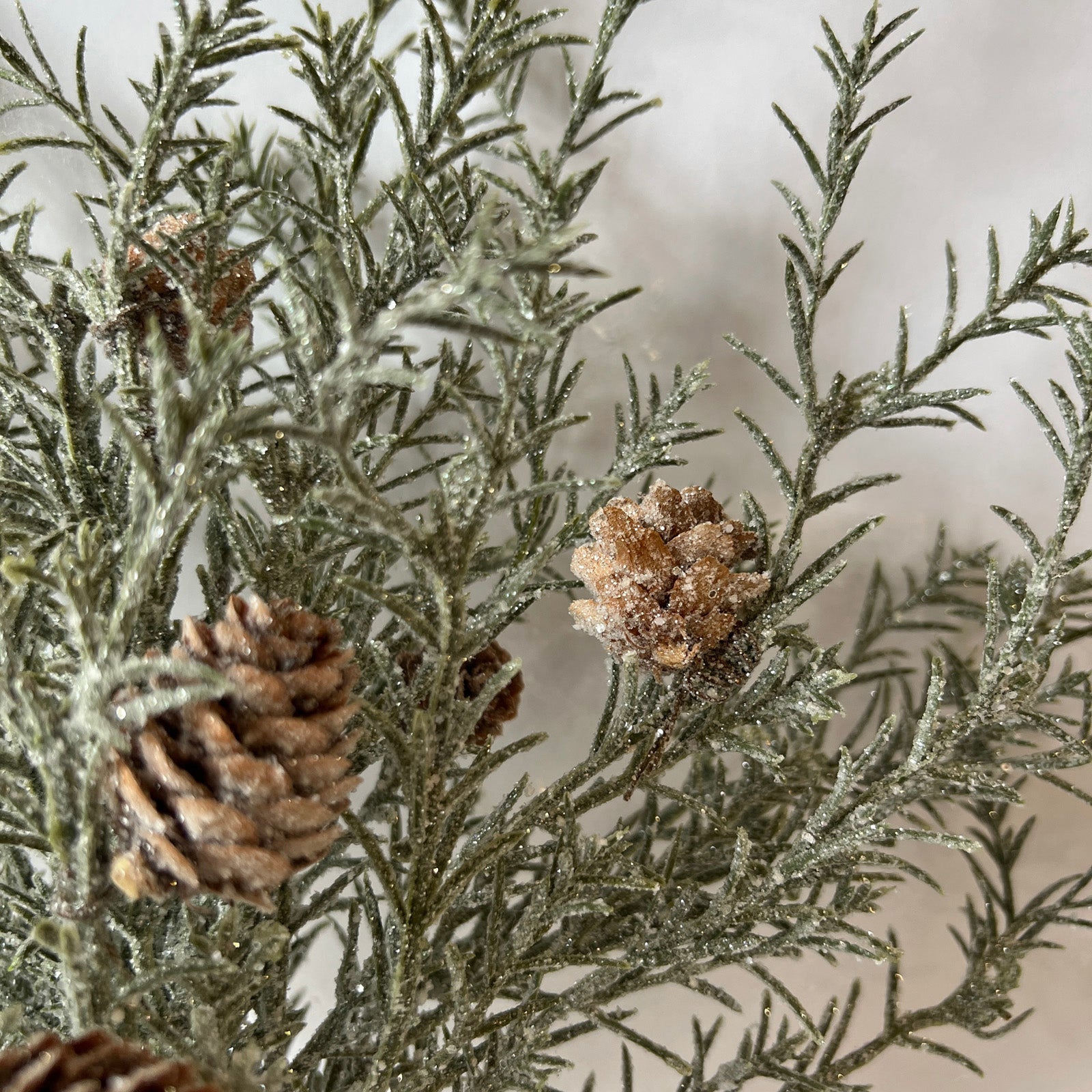 Frosted Pine Bush