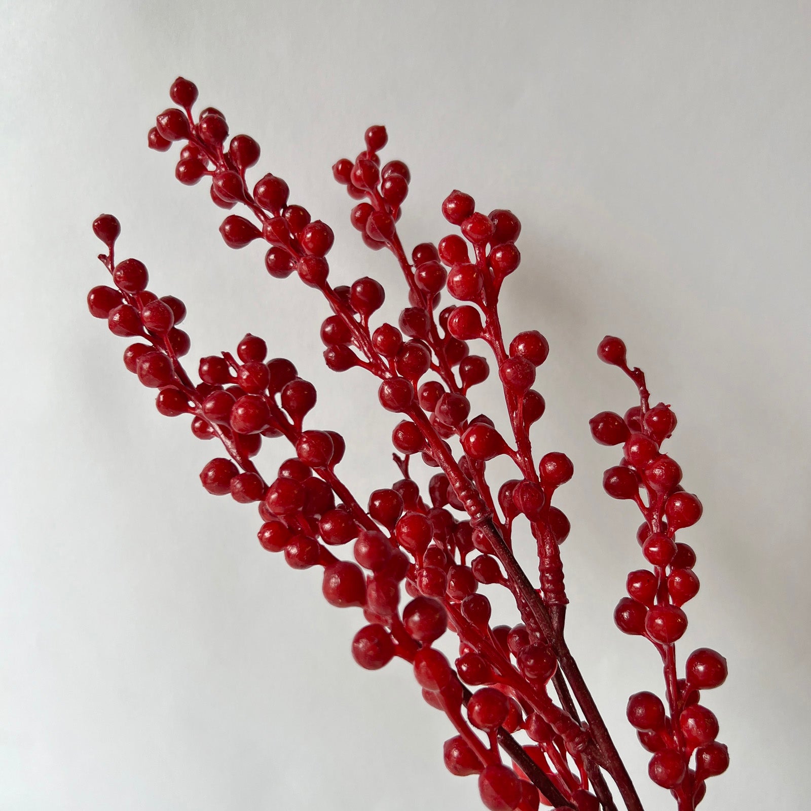 Red Berry Bush