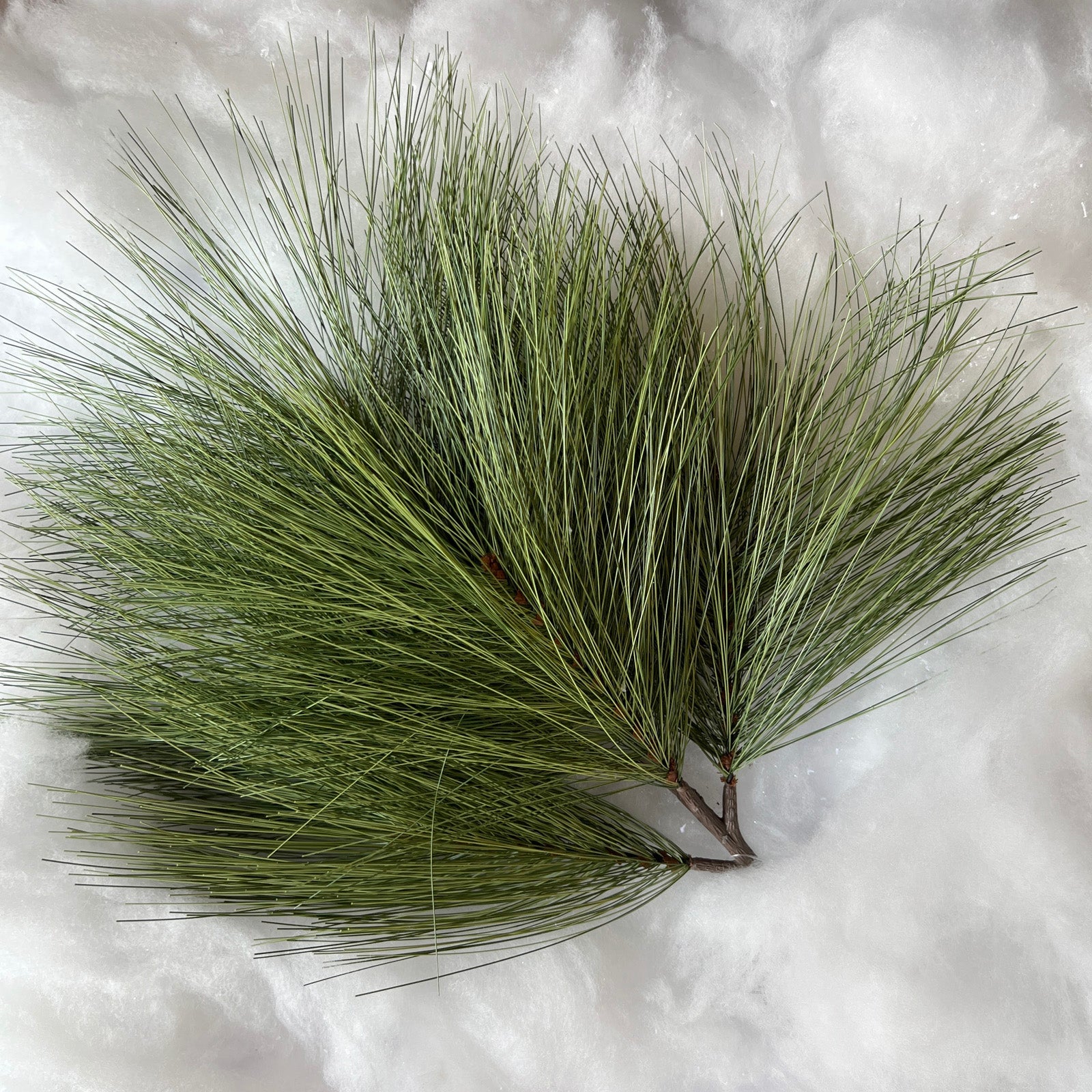 Long Needle Pine Spray