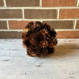 Dried Thistle Ball