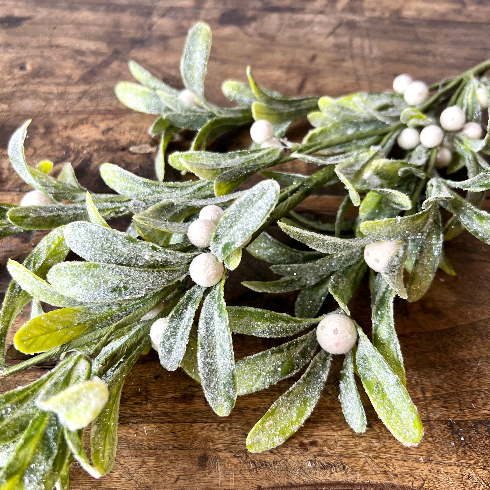 Mistletoe Stem