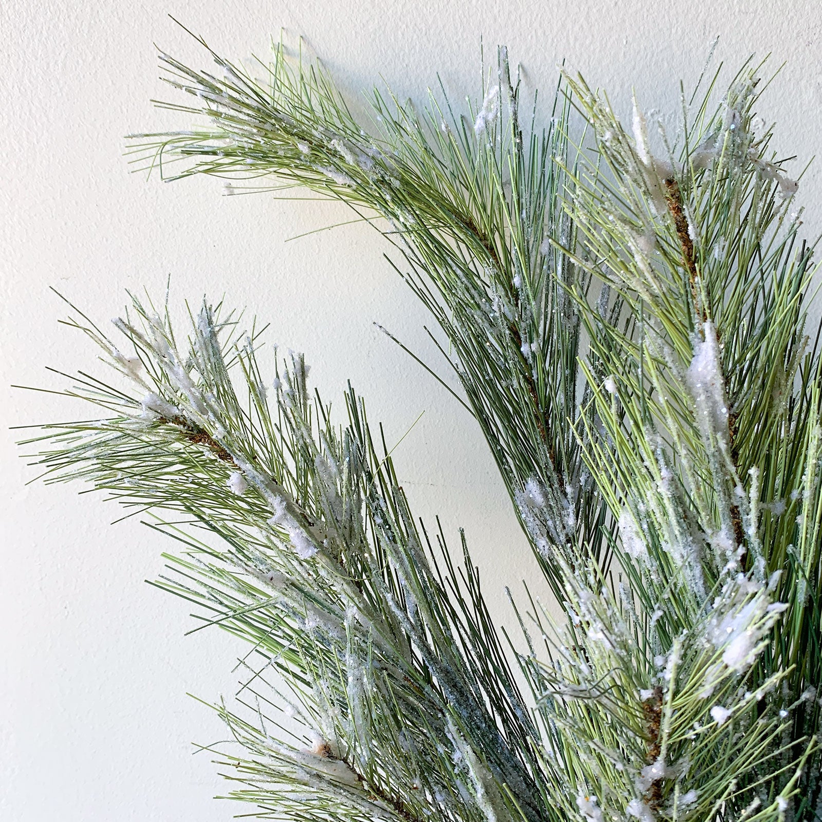 Silver Fir Spray