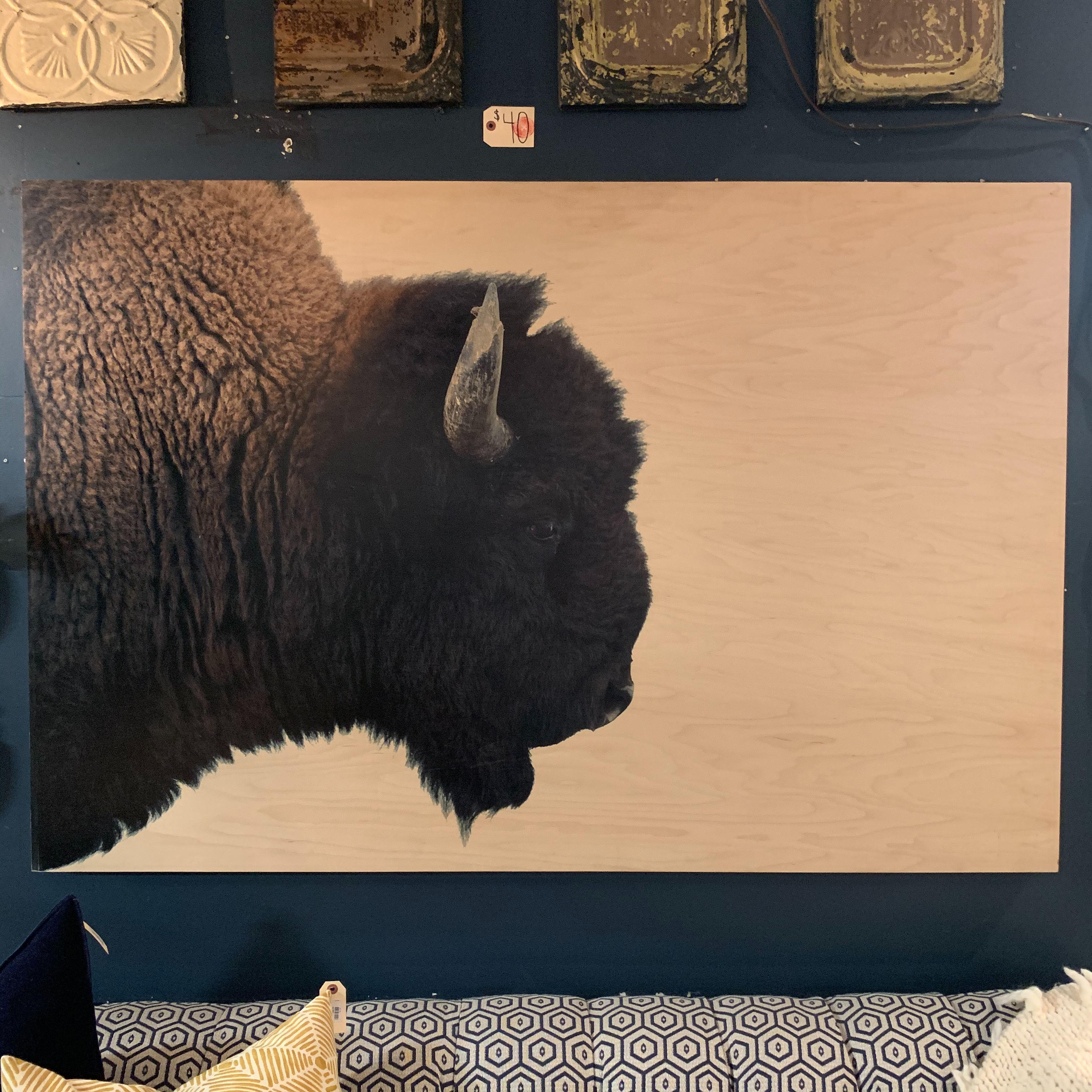 American Bison