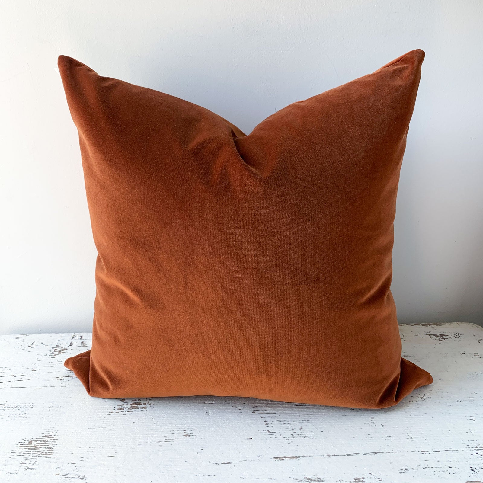 22" x 22" Pillow