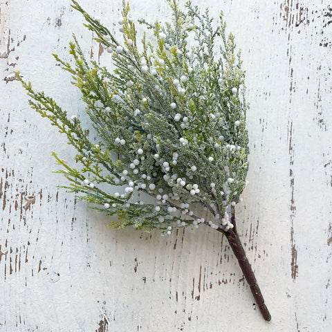 Frost Berry Bush