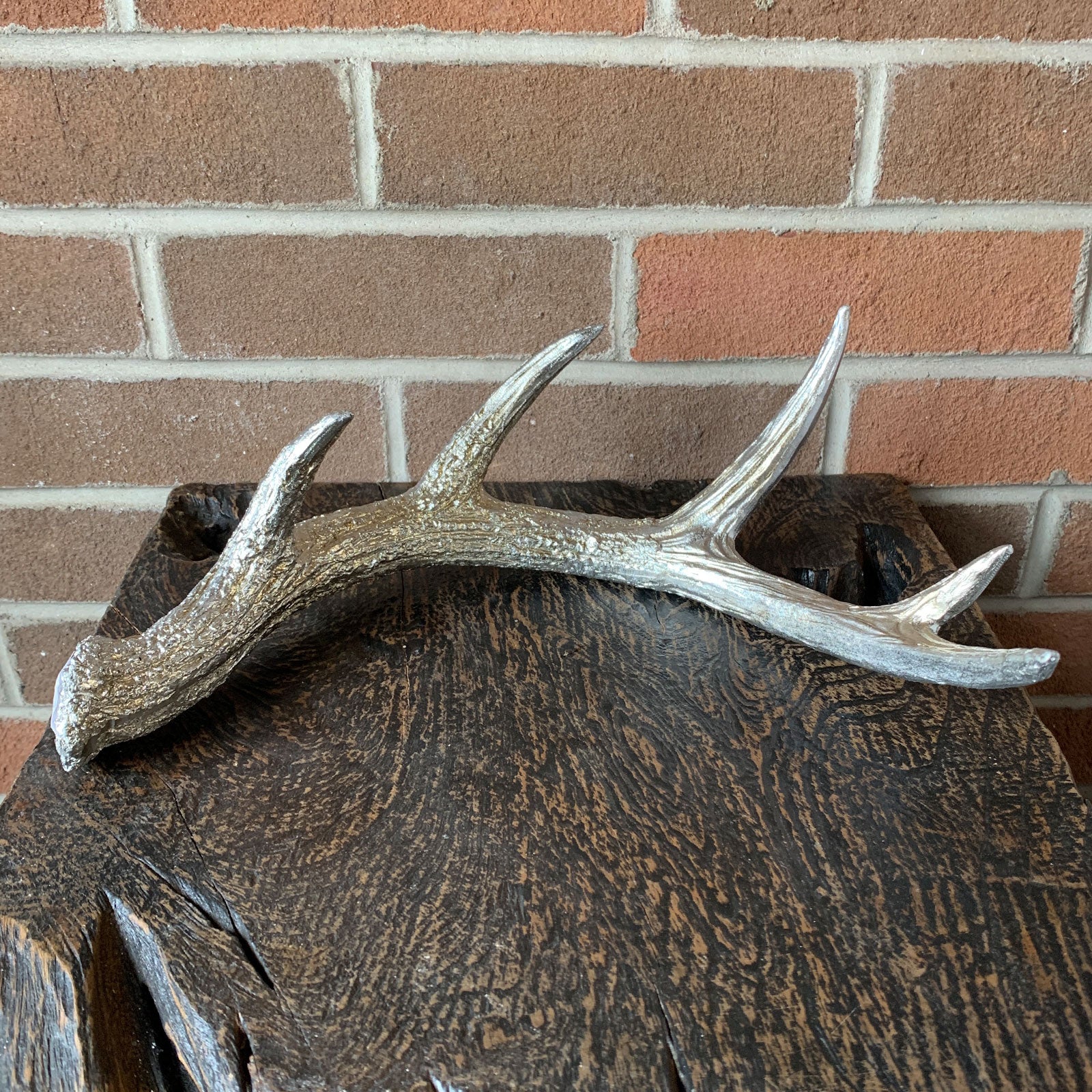 Tabletop Antler