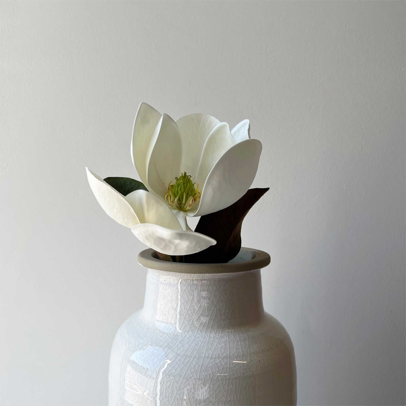 Magnolia Spray