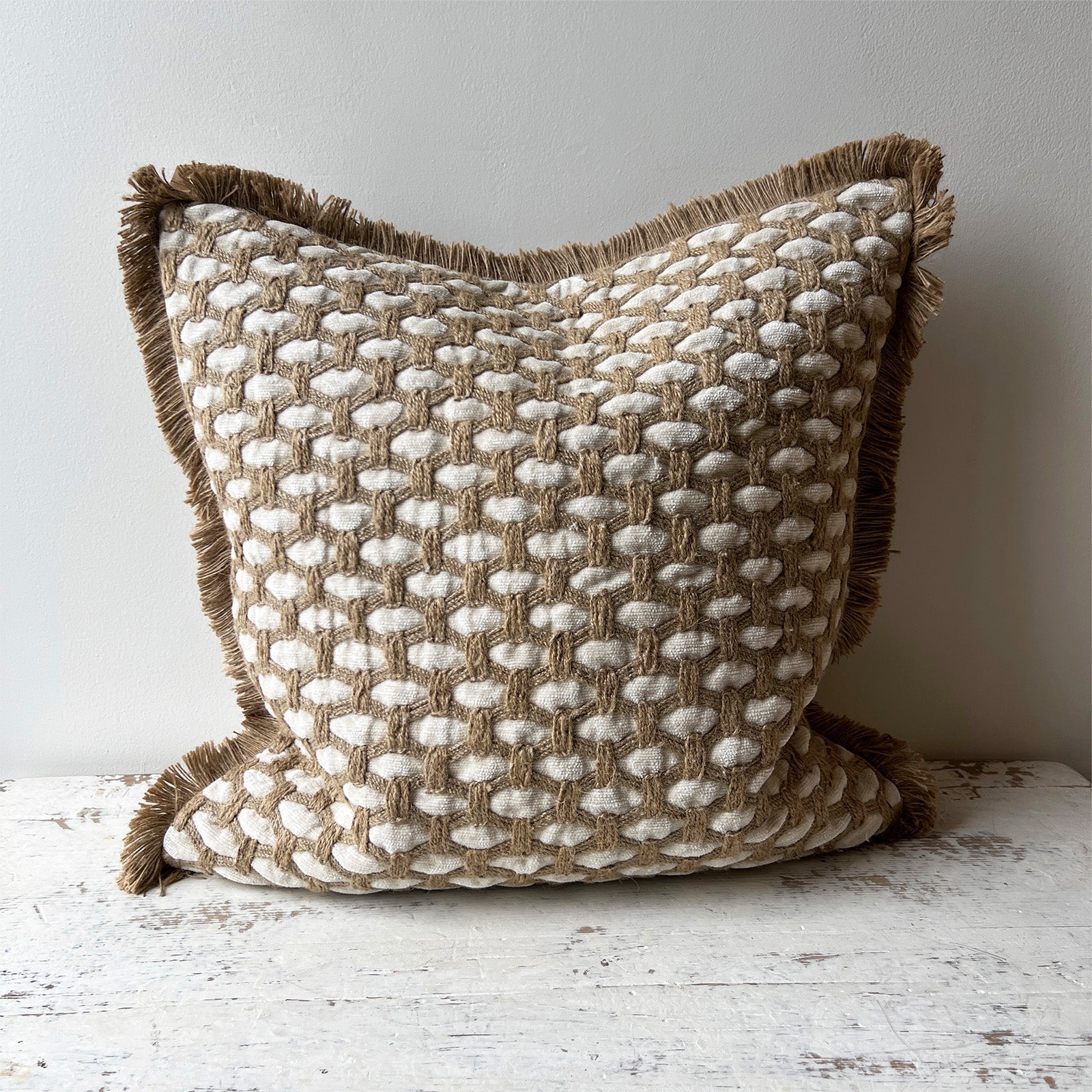 20" x 20" Pillow