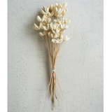 Bleached Flowers Bundle