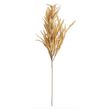 Grass Stem - Brown