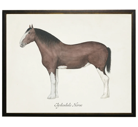 Clydesdale Horse