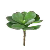 Artificial Paddle Plant